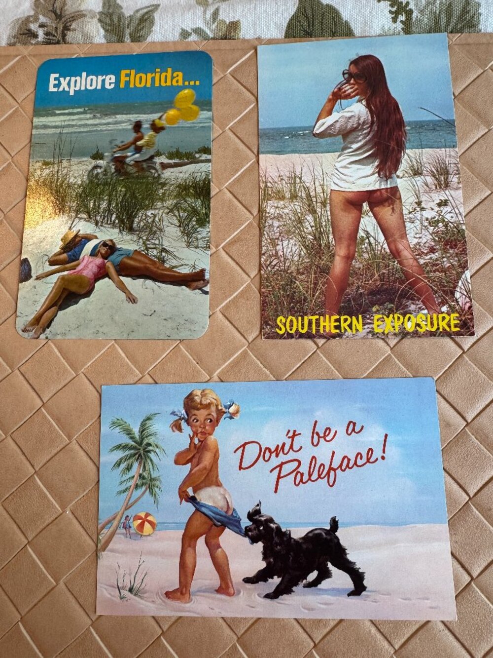 Lot of 12 Vintage Assorted Florida Unused Post Cards